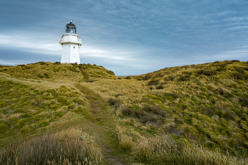 Otara, South Island, New Zealand.