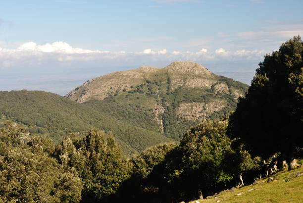 istock Mount Margiani as seen from the Santu Miali Peaks 1226430856
