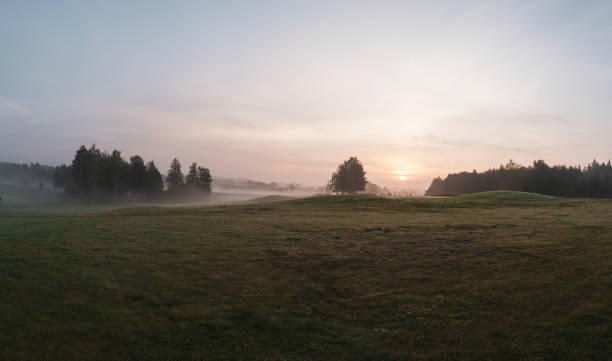 istock Field in the morning 1226431846