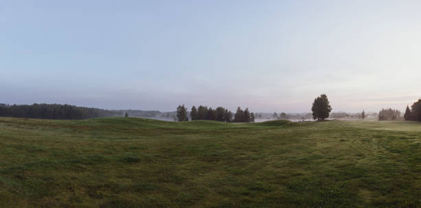 istock Field in the morning 1226431849