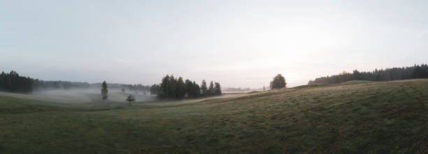 istock Field in the morning 1226431875