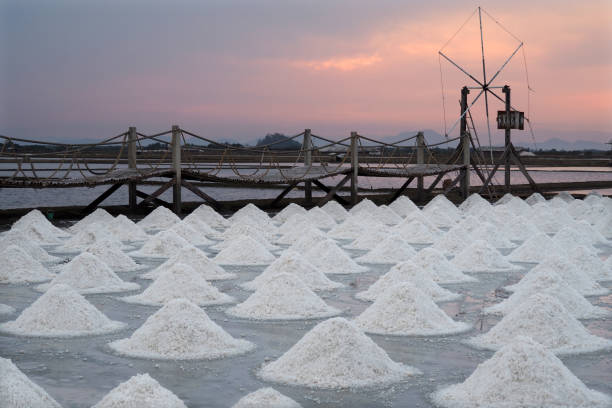 istock Salt Farm in Samut Sakhon, Thailand 1226432053