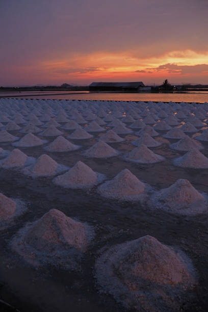 istock Salt Farm in Samut Sakhon, Thailand 1226432224