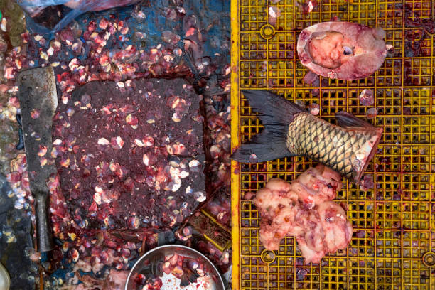 istock Top view on a fish fin on the fishermen working table 1226432233
