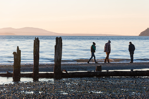 People walking and thinking at sea landscape in evening Picnic Point area, WA, USA