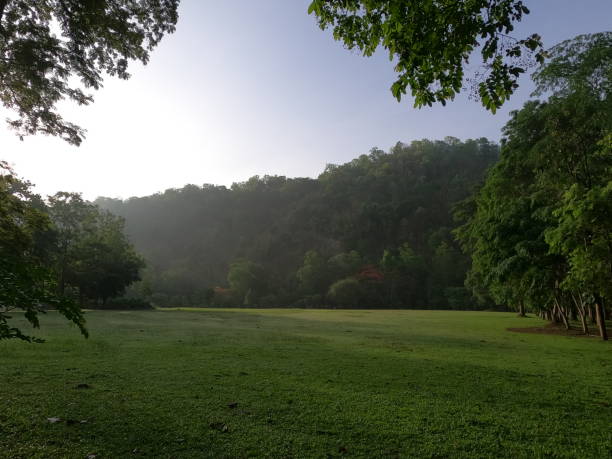 istock mountain and grass field in Morning 1226435264