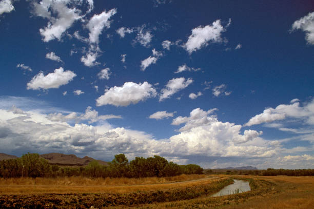 New Mexico Sky by the Rio Grande River: blue sky, Cumulus clouds and Salt Cedar Trees