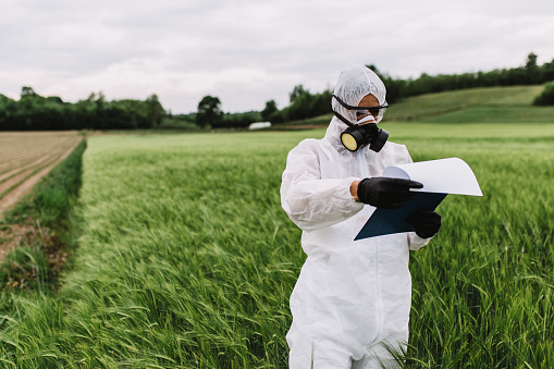 Weed control. Industrial agriculture researching. Woman with notepad in protective suite and mask taking weed samples in the field. Natural soft light on cloudy day.