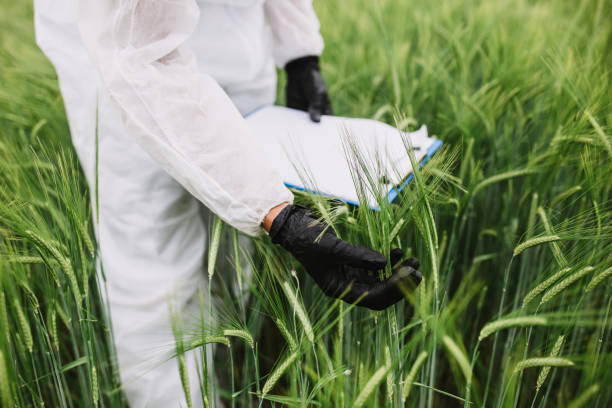 istock Worker for quality control in the field 1226440386