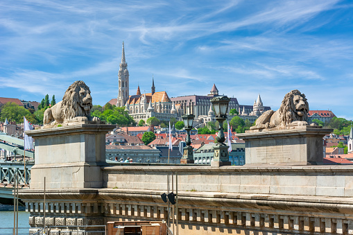 Lions of Chain bridge with Fisherman's Bastion at background, Budapest, Hungary