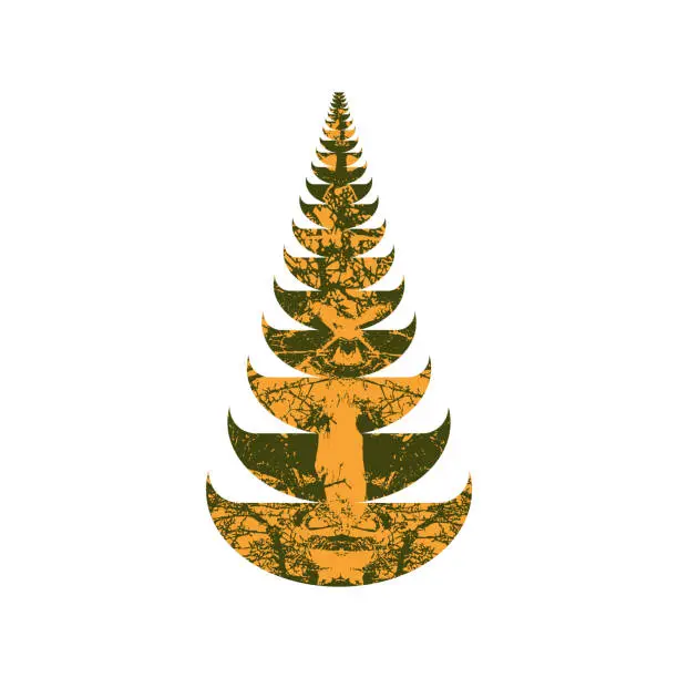 Vector illustration of Fir on white background