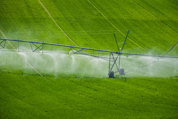 istock green meadow with sprinklers 1226443124