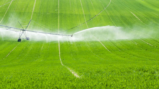 istock green meadow with sprinklers 1226443262