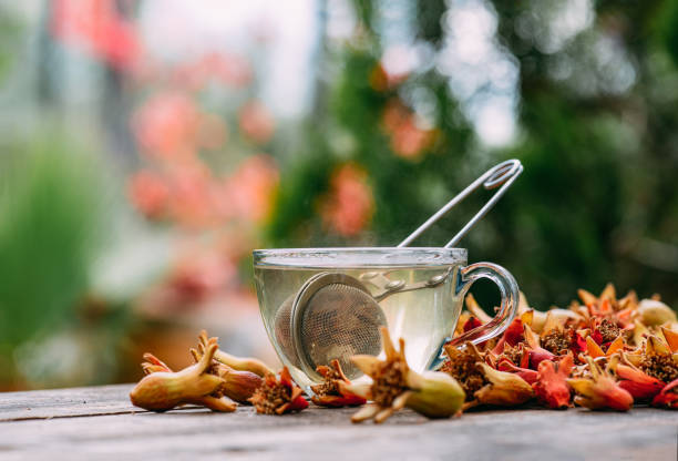 Pomegranate Flower Herbal Tea Pomegranate Flower Herbal Tea bearberry stock pictures, royalty-free photos & images