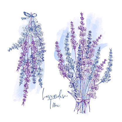Thẻ Dễ Thương Với Bản Phác Thảo Vẽ Tay Của Hoa Lavender Và Cây Cung Nhỏ Được Cô Lập Trên Nền Trắng Pháp Retro Pattern Cho Khái Niệm Thiết Kế Lãng Mạn Thẻ Dễ Thương Với Bản Phác Thảo Vẽ Tay Của Hoa Lavender Và Cây Cung Nhỏ Được Cô Lập Trên Nền Trắng Pháp Retro Pattern Cho Khái Niệm Thiết Kế Lãng Mạn