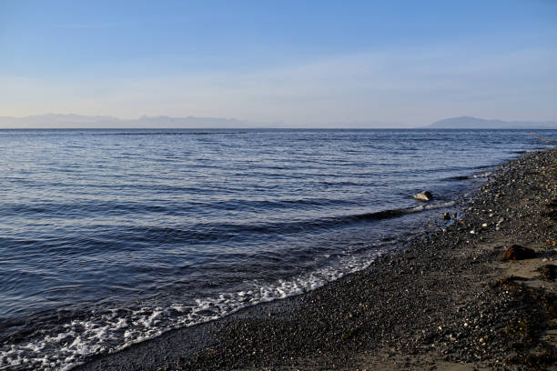istock Low Tide Along Vancouver Island Coastline 1226449059