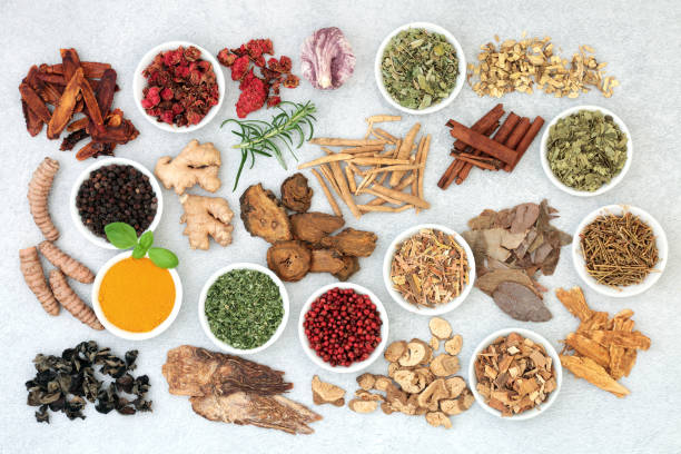 super food herbal medicine per una buona salute - astragalus chinese medicine root plants foto e immagini stock