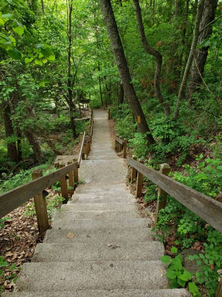 istock Stone steps descending in the woods 1226452819