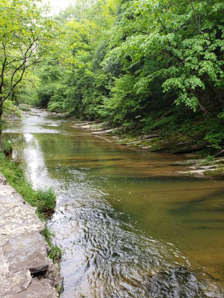 istock Flowing stream with lush trees and stone wall 1226453041
