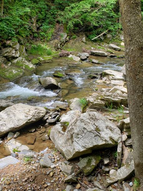 rocce calcaree con acqua - natural bridge state park foto e immagini stock