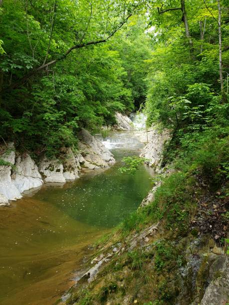 Algae in water with limestone and green trees