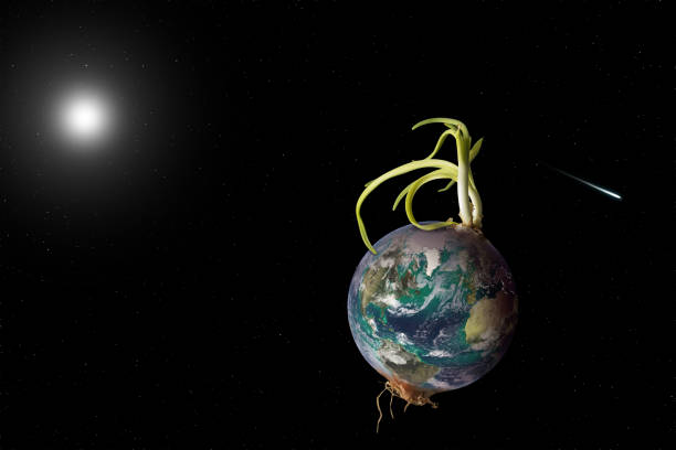 The image was obtained through NASA image gallery on the following web link:  https://eoimages.gsfc.nasa.gov/images/imagerecords/8000/8108/ipcc_bluemarble_west_front.jpg
