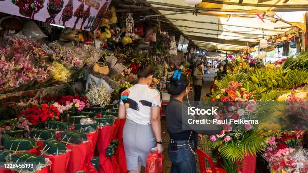 Indoor Plant Stall At The Central Market Phnom Penh Cambodia Stock Photo - Download Image Now