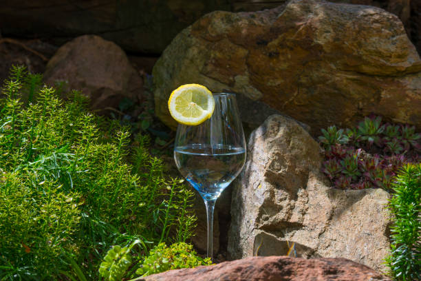 春の輝く晴れた日に日当たりの良い岩の庭で水とレモンとワイングラス - 6006 ストックフォトと画像