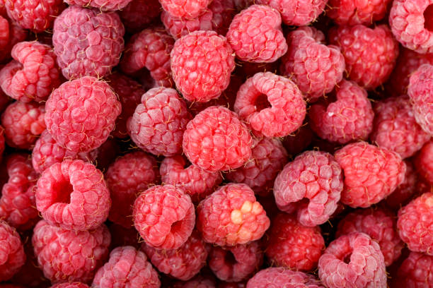 istock Fresh raspberries as a background are scattered as a background. Juicy Abstract Berry Background. 1226458512