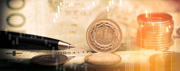 Polish money, coin stack. Business, finance Polish money, coin stack on polish banknotes. Business, finance wide internet web banner or background polish zloty photos stock pictures, royalty-free photos & images