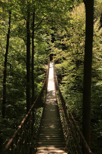istock Suspension bridge in the forest near Schmallenberg 1226462238