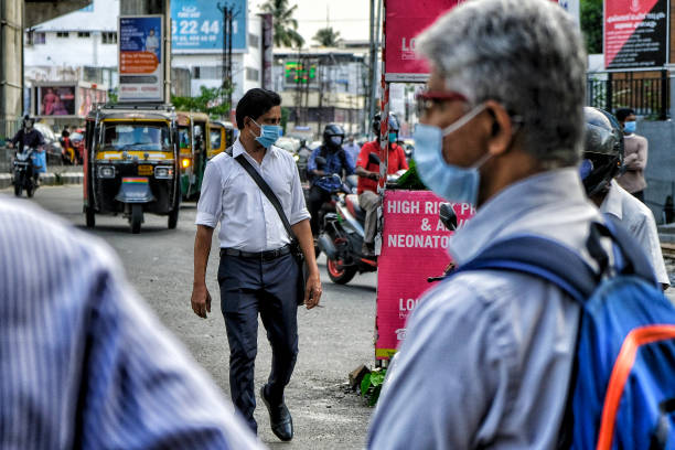 3.600+ Cocincina Pollo Immagine Foto stock, immagini e fotografie