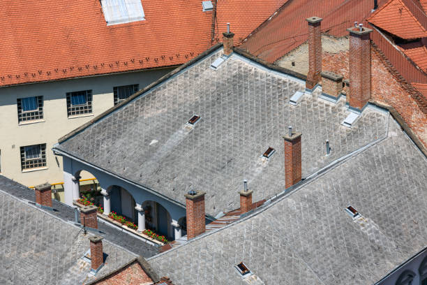 スレート屋根とレンガの煙突を持つ歴史的な建物 - roof tile nature stack pattern ストックフォトと画像