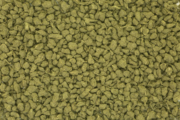 istock Chinese Green ginseng tea. Beijing. 1226466966
