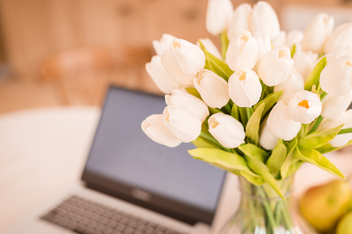 Bouquet of tulips flowers in glass vase over silver metal laptop. Bright flowers with portable device. Wooden background