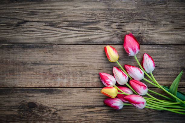 istock Red tulips on a wooden background, with a copy space 1226472421