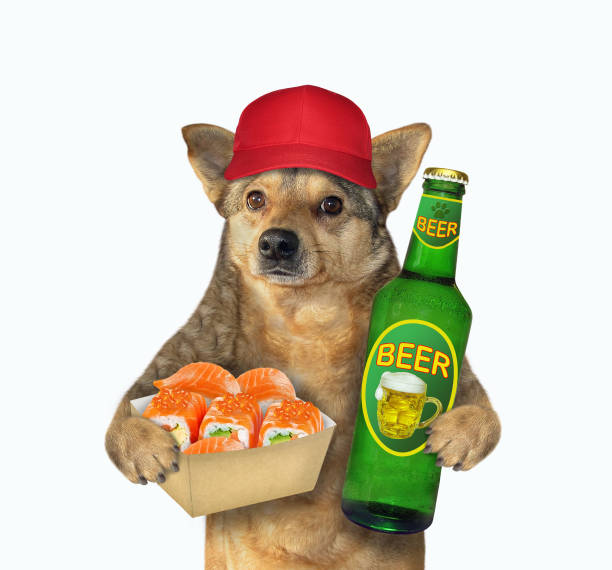 istock Dog has beer with sushi 1226473685