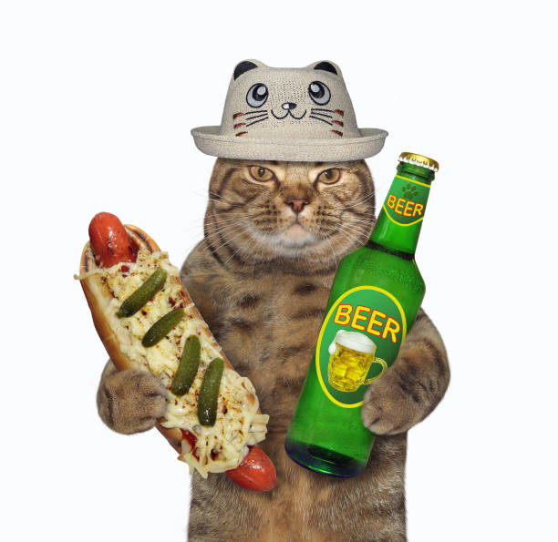 istock Cat has beer with hot dog 2 1226473686