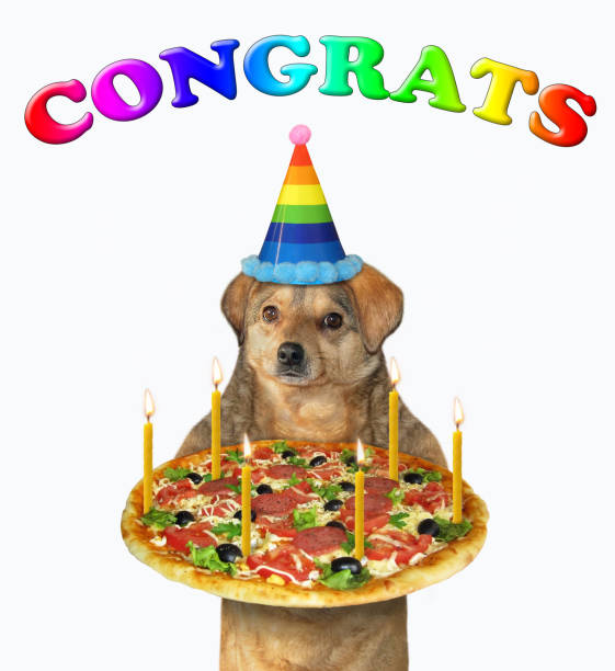 istock Dog in birthday hat holds pizza 1226473687