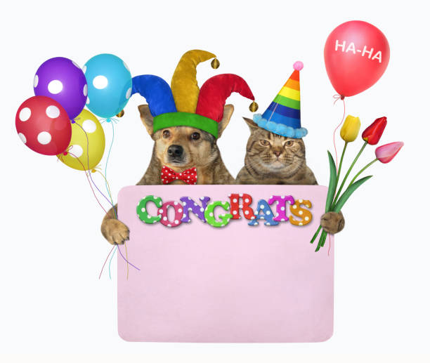 istock Dog with cat with blank poster 3 1226473688