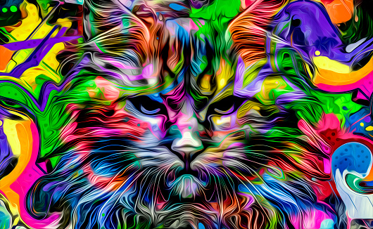 Cat head colorful illustration animal art