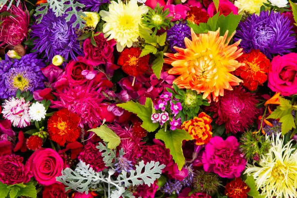 Beautiful colorful flowers background. Aster, carnation and rose flowers. Top view, flowerbed