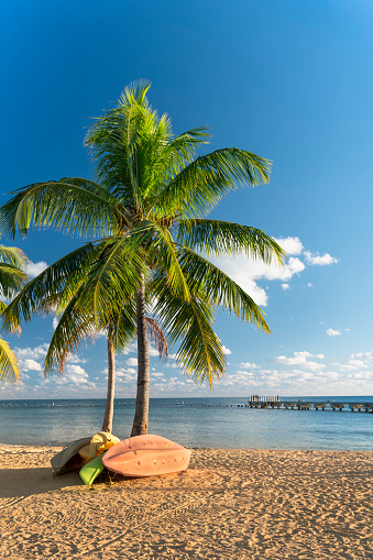 Boats under a palm tree on Smathers Beach in tropical Key West Florida USA