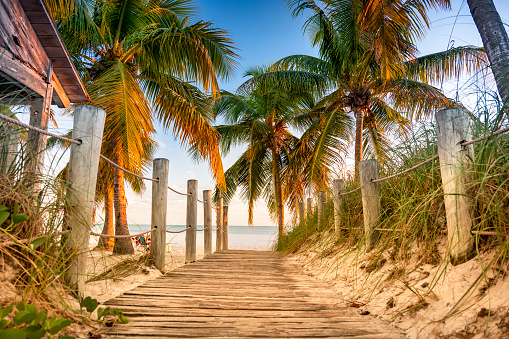 Palm tree lined pathway to the Smathers Beach in tropical Key West Florida USA