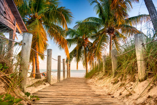 path to the tropical beach at sunset - key west imagens e fotografias de stock