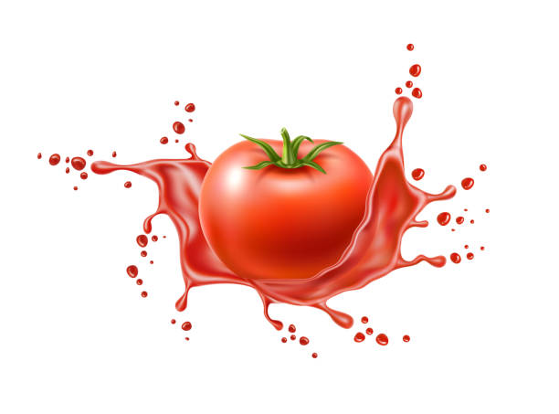 illustrazioni stock, clip art, cartoni animati e icone di tendenza di spruzzo di succo rosso di pomodoro maturo realistico vettoriale - exploding juicy liquid energy