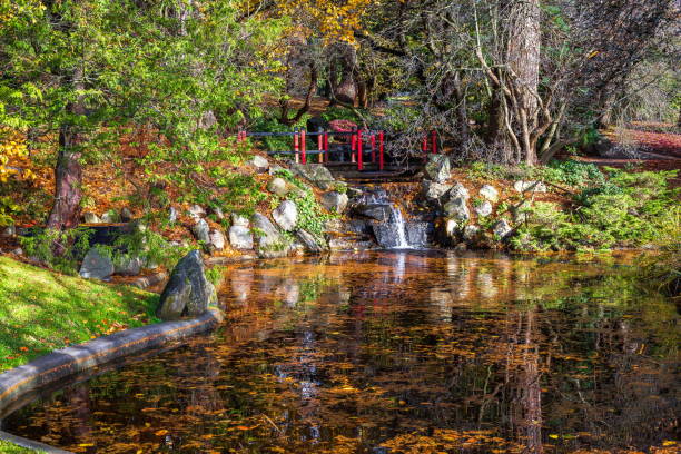 istock Small pond in a city park in autumn 1226484621