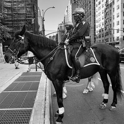 Manhattan, New York, USA - May 21, 2020: NYPD mounted police on patrol in Greenwich village during the covid-19 pandemic Lockdown in New York.