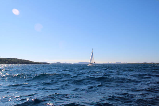 istock Sail in the sea 1226487818