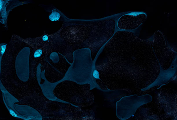 istock Indigo Colored Asian Artwork, Texture Print . Aqua Liquid Wet Spots, Fluid Acrylic, Waves Blue Watercolor . Navy Acrylic Oil Swirl 1226488706